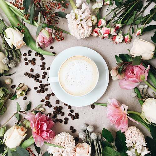 potted plant cappuccino filled white ceramic coffee cup on white ceramic saucer surrounded by assorted-type of flowers and coffee beans pottery